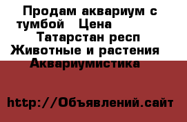 Продам аквариум с тумбой › Цена ­ 35 000 - Татарстан респ. Животные и растения » Аквариумистика   